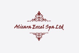 alisara excel logo